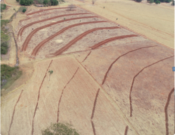 Virada Ambiental