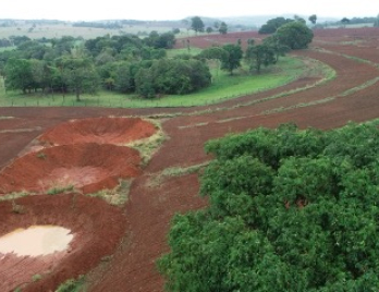 Virada Ambiental