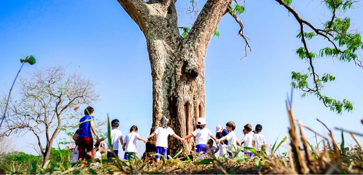 Virada Ambiental